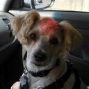 Jackie Estep - @jackie_estep - Twitter