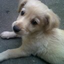 YENY.  LOPEZ - @normahercules1 - Twitter