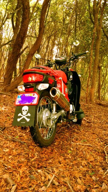 cub110md's profile picture. 郵便屋でカブ乗り！！！クロスカブとプレスカブとMD(集配仕様)乗ってます！！