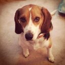 Melissa Hellman - @Melissa_hellman - Twitter