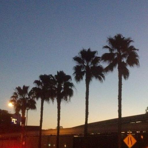 GnCGirl's profile picture. A total Brighton and coffee girl