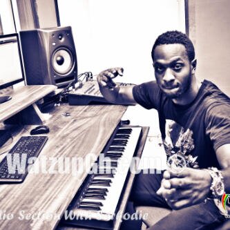 Branding artist,Contract deals,Artiste promotion and Recording deals. Add on BBM 27fae301 Email: calebnatwood@gmail.com