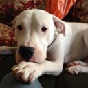 Curt sanders - @Blowfly29 - Twitter