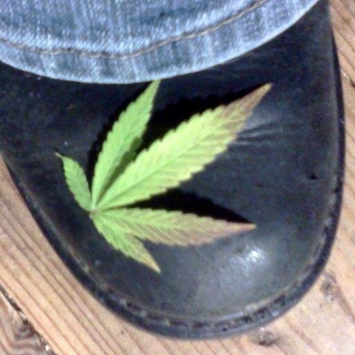 AGoodHerb Profile Picture