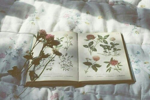 ‏‏‏‏‏‏‏‏‏‏تابعني بتابعك تلغي الغي ...لعبر على تركيا واشرب تتن واكييييييف