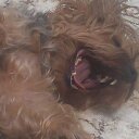 Ben Kramer - @sponreel - Twitter