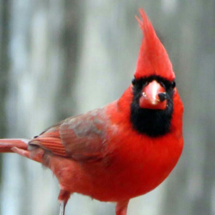 AguilarUteach26's profile picture. 