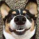 Lola - @Laura5comer - Twitter