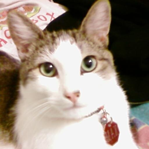 862412Mannie's profile picture. About Me I love to Worship God because it save me from my darkness and to the light. and now I am helping my church out. To become a young pastor someday.