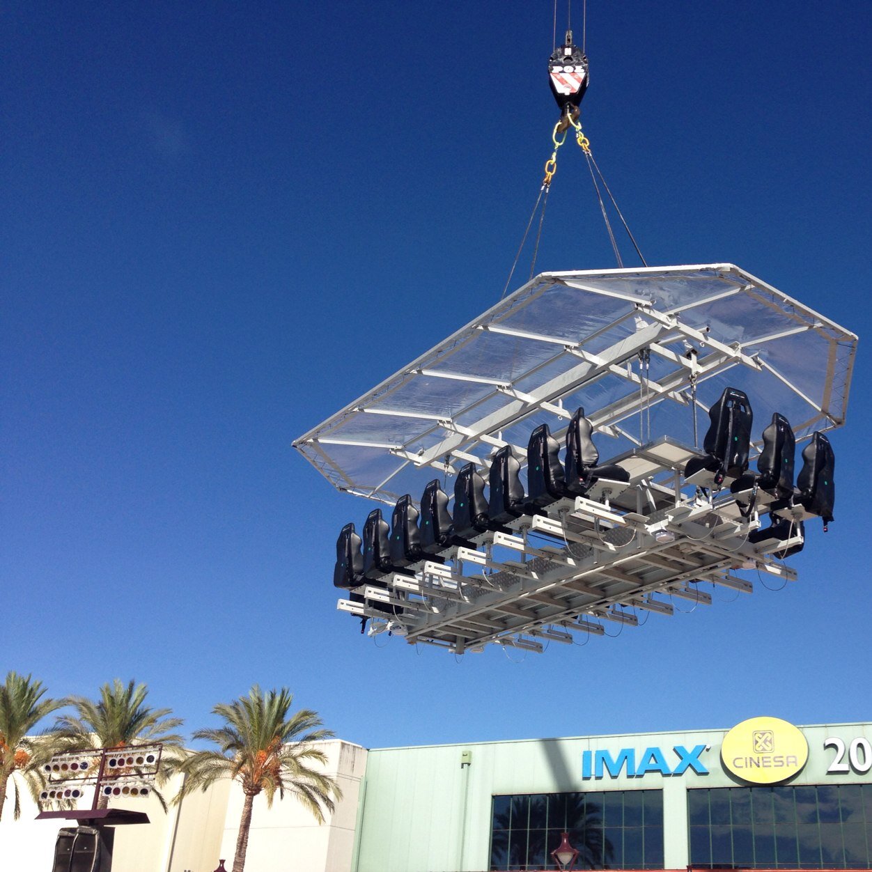 ditses's profile picture. 