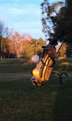Golf Pro, Actor,Producer,Entrepreneur