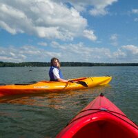 Elaine Cornett (@elcornett) 's Twitter Profile
