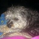 STEVEN RITCHEY - @ritcheycakes - Twitter