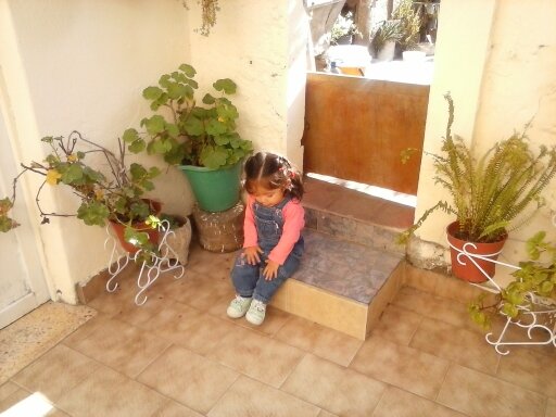 luchosepulvda's profile picture. 