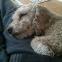 Steven Nowicki - @steven3nowicki - Twitter