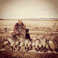 Nolan Andersen (@nolanandersen) 's Twitter Profile