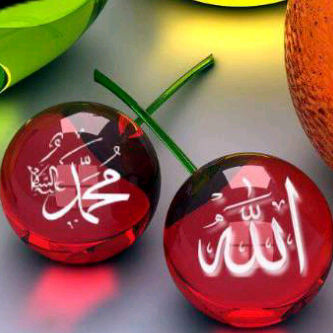 yusufrenaldy's profile picture. Hi!