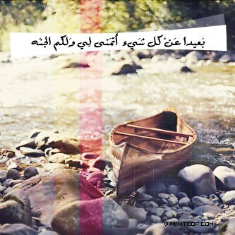 maram1234512's profile picture. 