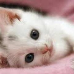 Harrry_yyy's profile picture. 