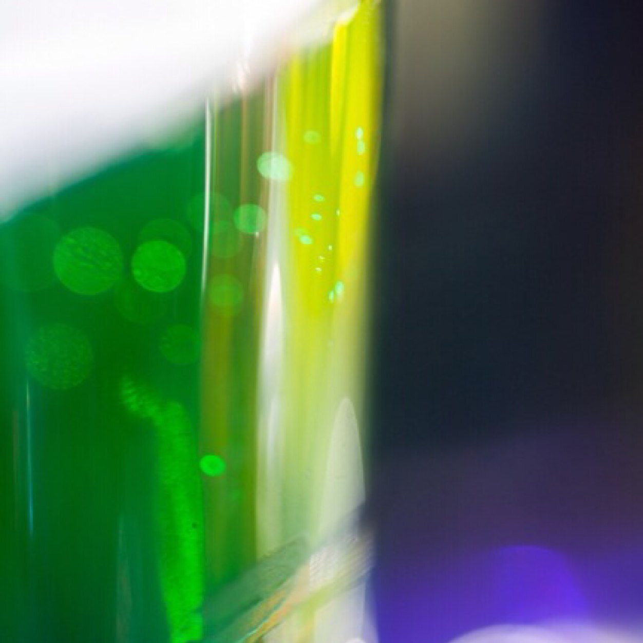 braenwyn's profile picture. 