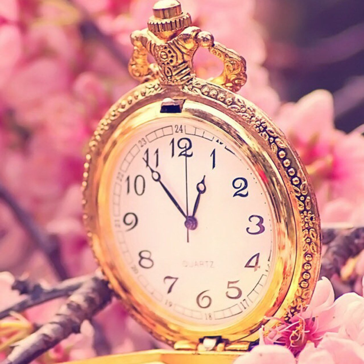 سبحان الله لا اله الا هو عليه توكلت وهو رب العرش العظيم Instagram : idonen