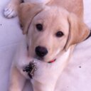 Jenifer Bird - @Jbirdlover24 - Twitter