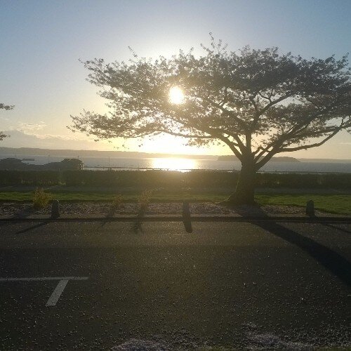 Hans Schwarzbach (Hans_USN_Vet) Twitter