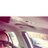 Living_M_Dreams's profile image