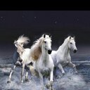 22hooh (@01234h56789) Twitter