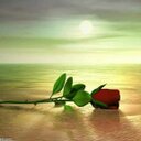 Amani Abbas - @moogalbahar0 - Twitter