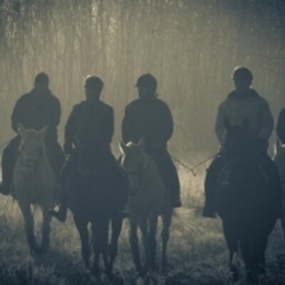 tmxmfhd862's profile image