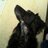 undogabordeaux's profile image