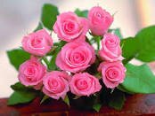 Im aarthi and working in  qnextech .