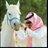 raed1000002's profile image