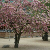 엔돌핀 (@white97912) 's Twitter Profile