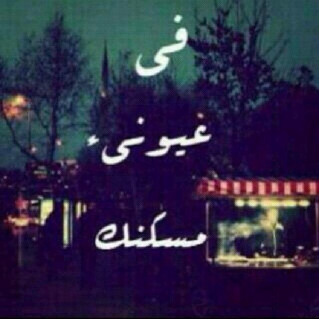 رتويت لمن يتابعني