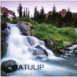 Distributie apa plata 19 L,10L,5L si sucuri turcesti Uludag:limonada,apa cu arome,sucuri naturale etc.