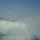 Donna Braun - @dlbraun53 - Twitter