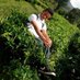 Syahrul K (@_arulboriz) Twitter profile photo