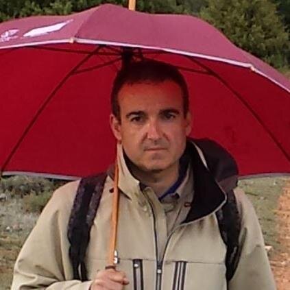 En el ejercicio libre de la profesión (dendrotec). Coordinador del proyecto de comunicación #welovemountains del Colegio Ingenieros de Montes, y Vicedecano C.V.