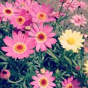 Lydia Brown - @LydiaLouise99 - Twitter