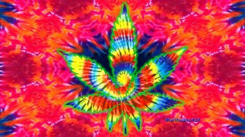 Smoke Weed Everyday