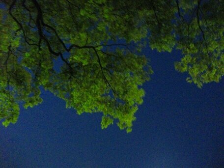 Meteo_Official's profile picture. Art Publicationが行っている4事業総合のサイトの運営しています。