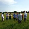 TeagascCrops's profile picture. Teagasc Tillage Team. Interests in all arable issues #tillage, crop types #cereals, cultivations, ag chemical, #agronomy, Irish crop updates #crop