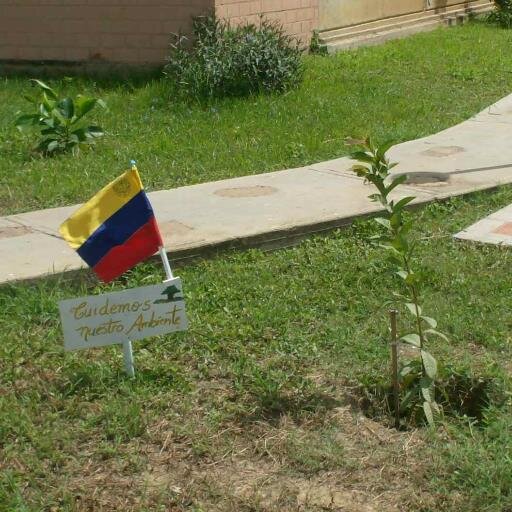 Educación. Reingenieria social.  Energías renovables. Reforestacion. Movilidad eléctrica. @velatin_ve