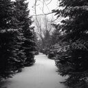 Tim Menke - @wolmbie - Twitter