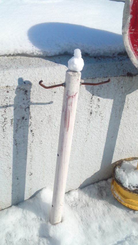 pokespe's profile picture. 