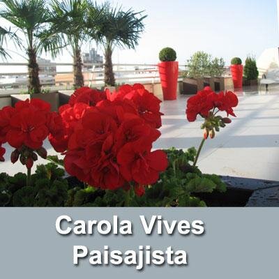 Paisajismo - Jardinería - Decoración. Y, desde hace 2 años, Cortadora de jamón.