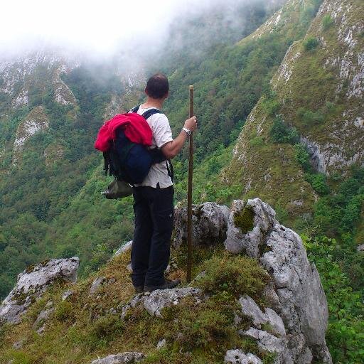 alboraes's profile picture. 