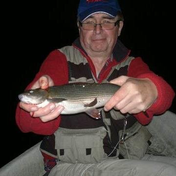 mat_sto's profile picture. 